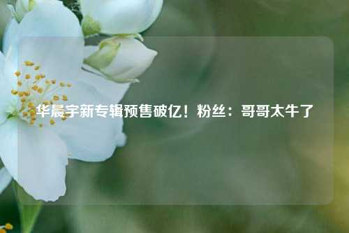 华晨宇新专辑预售破亿！粉丝：哥哥太牛了