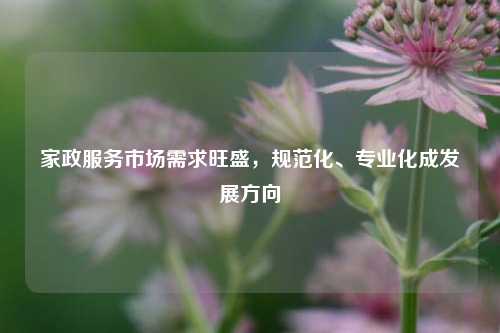 家政服务市场需求旺盛，规范化、专业化成发展方向